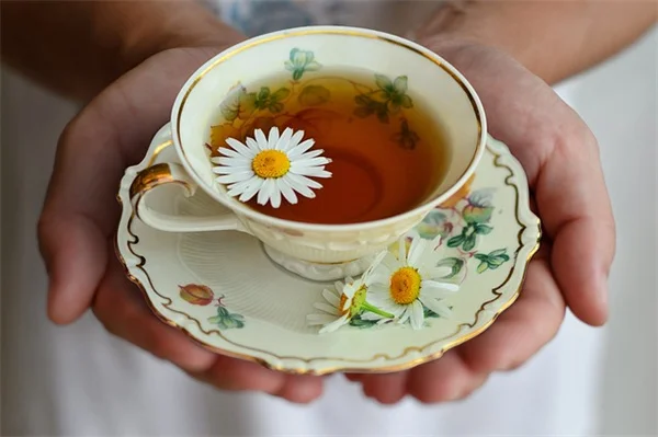 ダリアの花後すぐにやるべき4つのこと｜切り戻しと球根保存のコツ