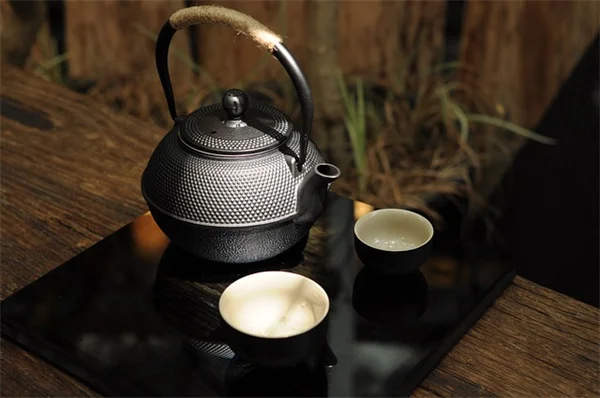 春の庭掃除、待つべき理由：昆虫保護のための温度目安