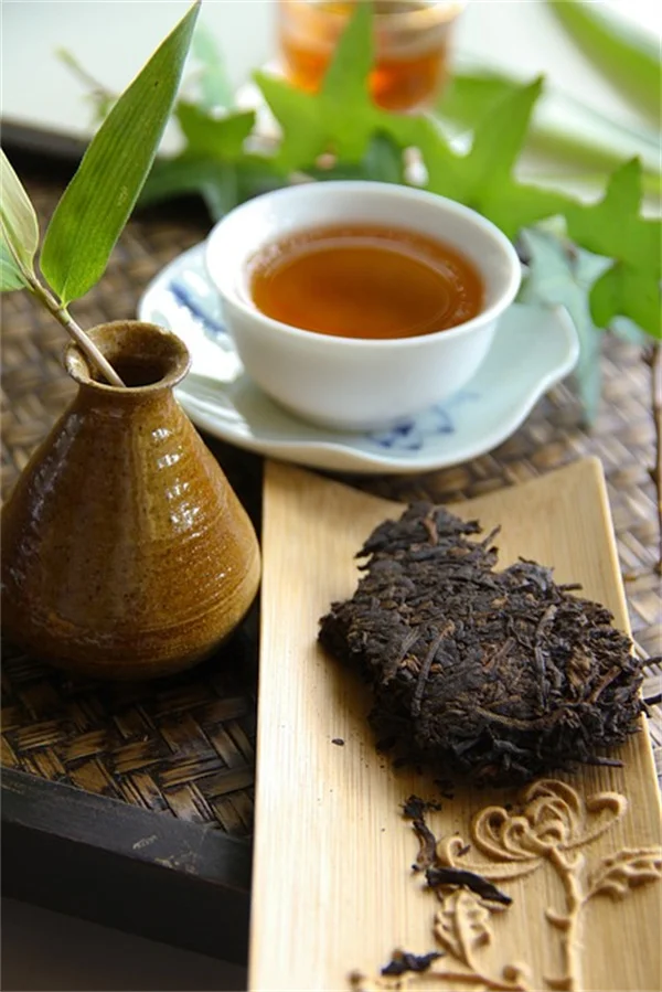 カフェイン半分！自宅で簡単に作れるきのこコーヒーの完全ガイド
