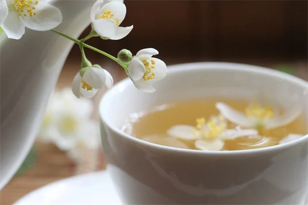 ドラゴンズタンは水草じゃない？正しい育て方とよくある失敗
