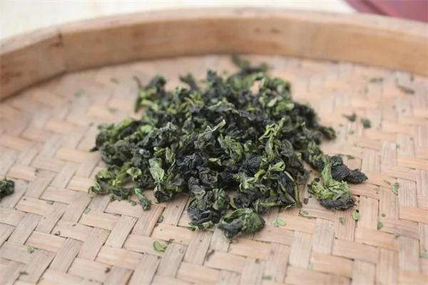 【実体験】菜園病虫害の原因特定から対策まで｜私が実践する3つのステップ
